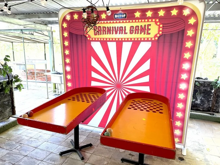 Carnival Backdrop